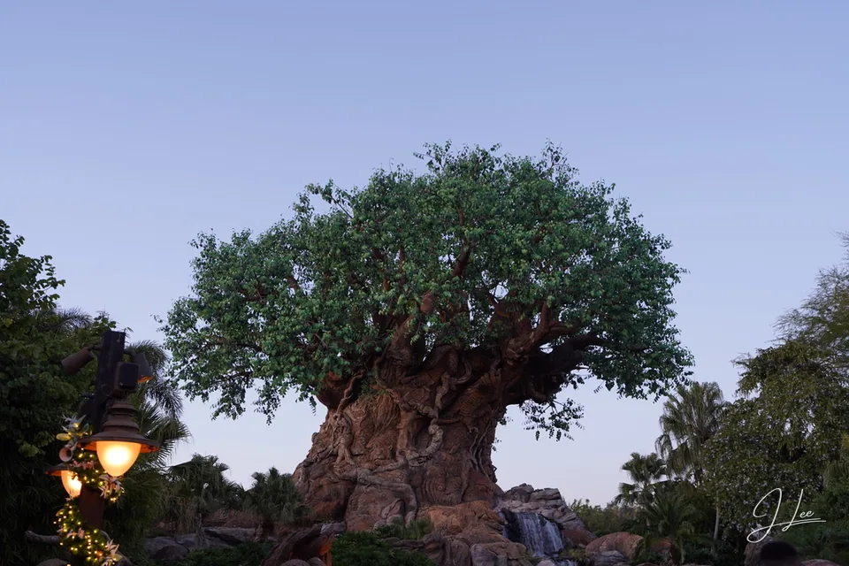 A broad sculpted tree surrounded by foliage beneath a pale evening sky.